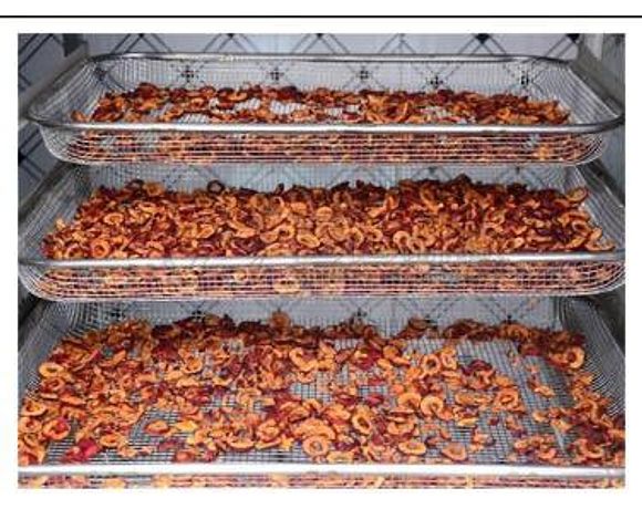 Промисловий дегідратор SUSHIMO DC5 з тепловим насососм та на 170-430кг 