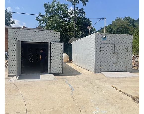 Промисловий дегідратор SUSHIMO DR8