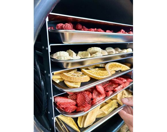 Субліматор (Freeze Dryers) SUSHIMO FD-6