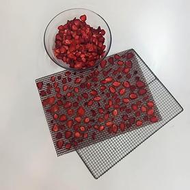 Teflon mesh (various sizes) for dehydrator (dryer) or grill
