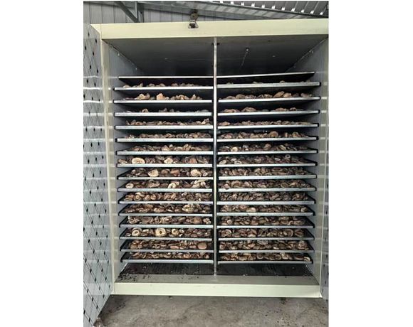 Промисловий дегідратор SUSHIMO DС4 з тепловим насосом та на 130-320кг