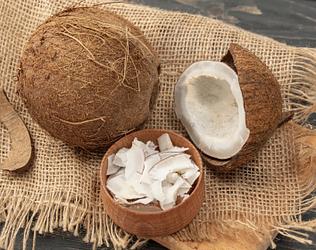 Fries. Delicious. Convenient. Useful